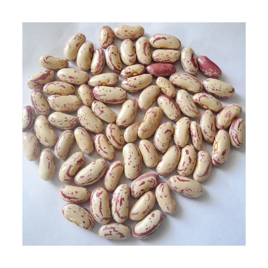 non-gmo quality attractive price beansdney speckled kidney beans