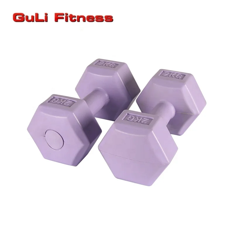 Wholesale Dumbbell Manufacturer Vinyl Hex Dumbbell 1-10KG
