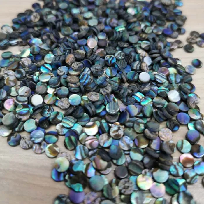 Natural Abalone Shell Small Round Inlay Flakes Paua Seashell Inlay Charm Jewelry