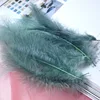 Gris Vert