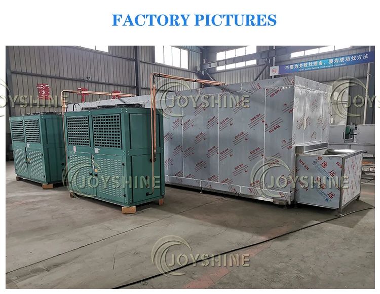 Blast Freezer, 220V, -40° - detail 20
