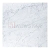 Carrara White