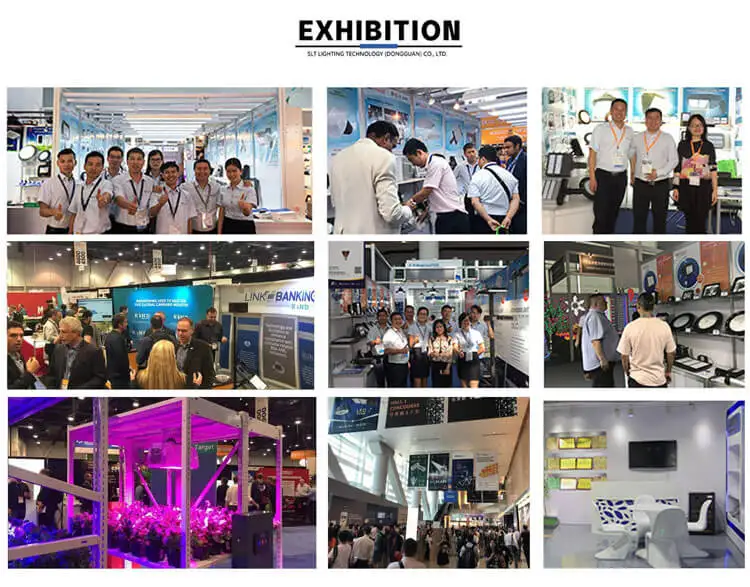 Wholesale 2ft 3ft 4ft T5 T8 T12 Led Grow Light Full Spectrum Linkable