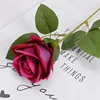 Rosa rossa