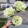 10#  Nuova rosa tea verde a 3 teste