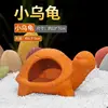 Piccola tartaruga