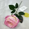 Rosa oscuro, rojo rosado.