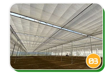 Agricultural greenhouse
