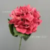 ดอกไฮเดรนเยียจำลอง 3 มิติ - สีแดงแตงโม
