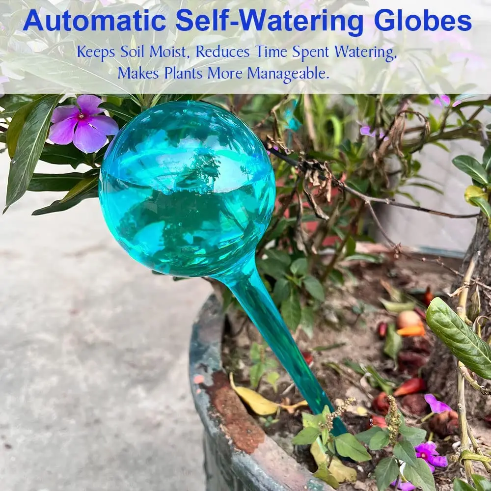 Self watering globes -  France