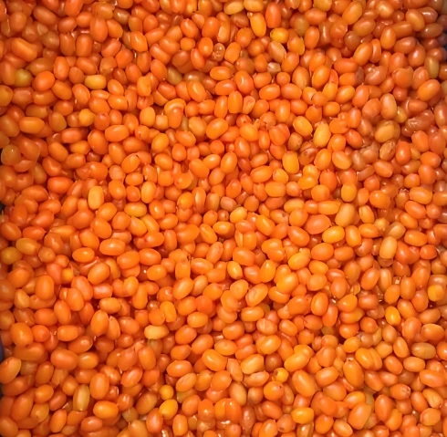 Wholesale Price IQF Frozen Fruits Bulk 10kg Frozen Sea Buckthorn