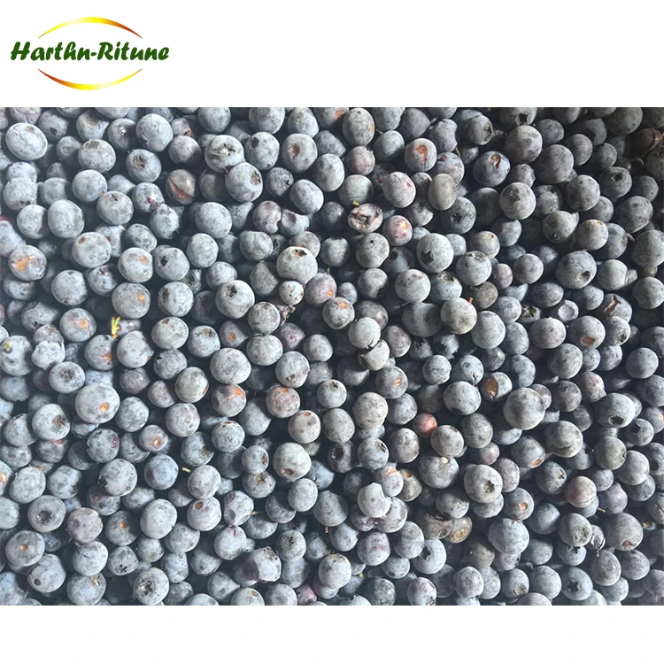 高品質 IQF フルーツ 卸売価格 バルク10kg IQF 冷凍ブルーベリー販売中