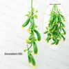 Pepinos 001