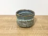 Asagi Blue Green