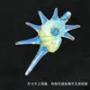 Green Spider conch