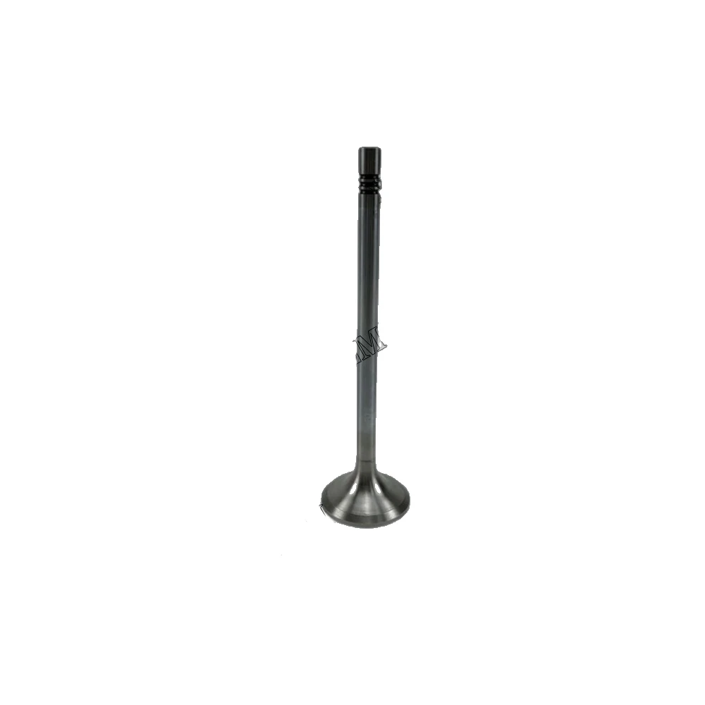 D9512 Exhaust Valve 10120988A 9078514A for Liebherr Engine Parts Manufacturer