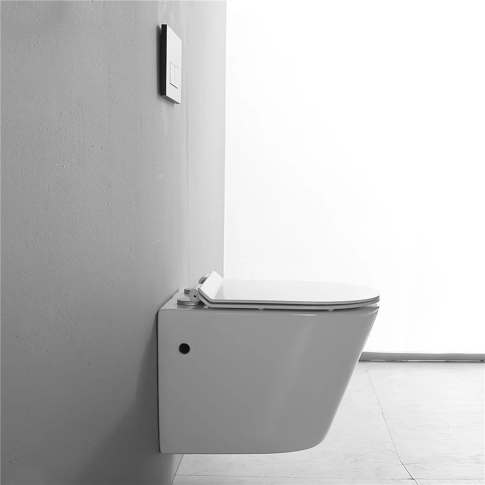 Ce European Wallhung Sanitary Ware Concealed Cistern Rimless Wall