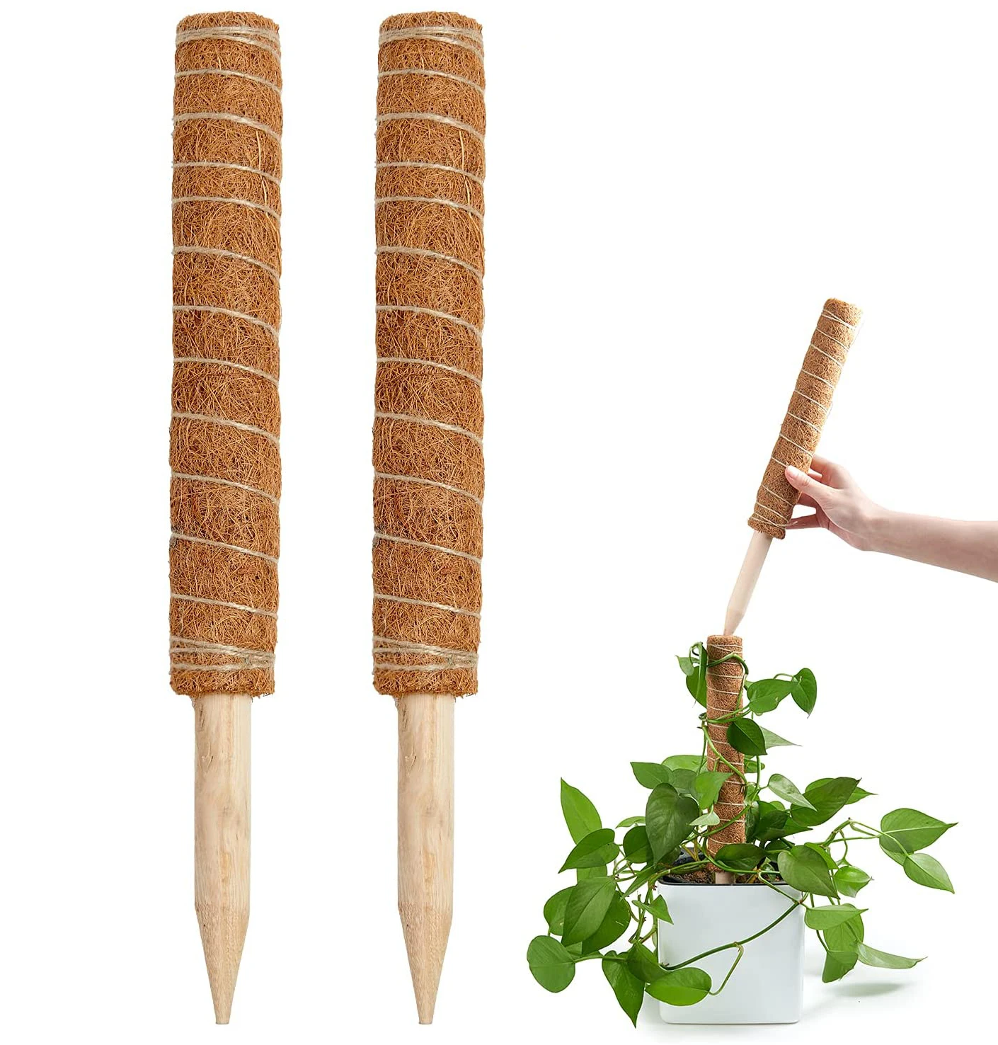 Moss Pole 40cm Indoor Plant Grow Up Support Stackable Moss Poles Made By Coco For Climbing