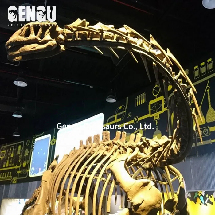 Artificial Dinosaur Skeleton Model Fiberglass Dinosaur Bones for Sale