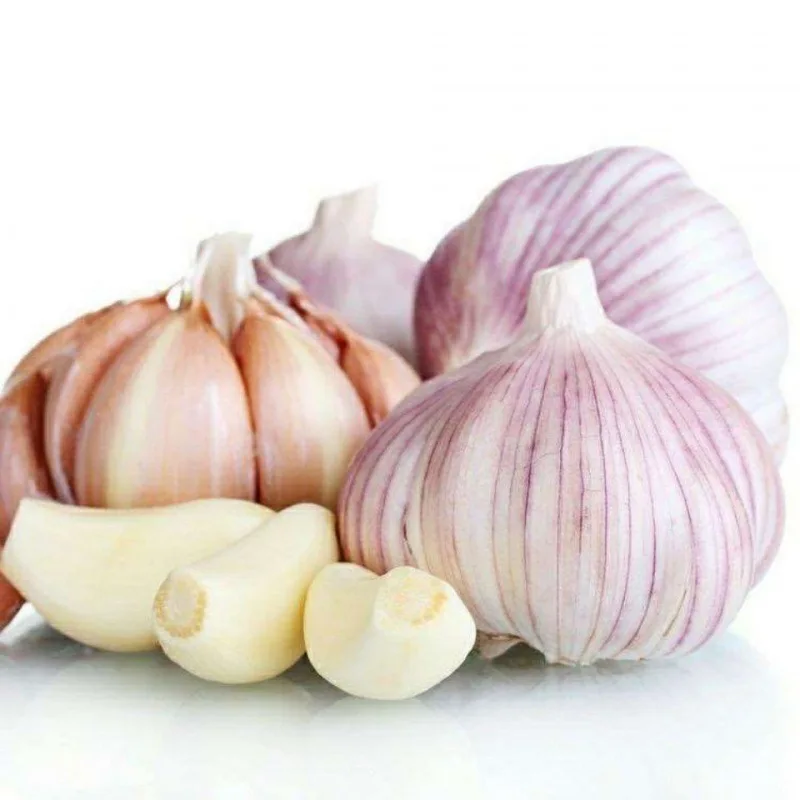 Bulk Iqf Frozen Fresh Peeled Garlic Cloves Buy White Garlic Cloves,Garlic Clove,Fresh Garlic