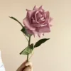 Dirty pink