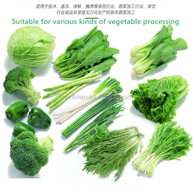 Useful Asparagus Root Cutting Machine Veggie Root Cutter Machine