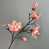 Magnolia a 5 teste con bordo arricciato rosa autunnale