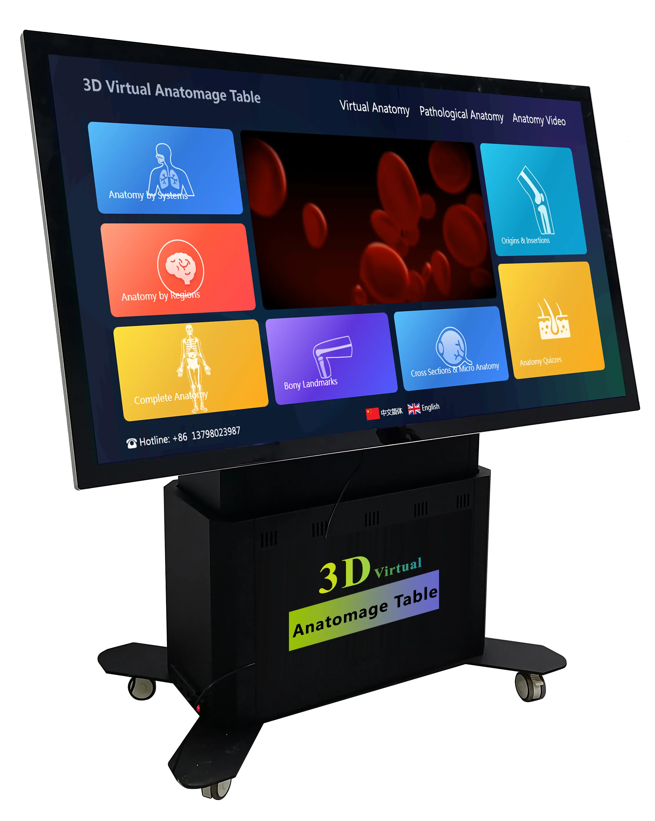 3D Real Anatomy Table - Virtual Medical Teaching Model