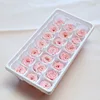 Pink ZL-YSH-01-12