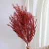สีแดง
