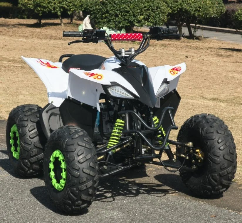 4-тактный 200cc мини-снегоход Polaris в горном стиле внедорожник с воздушным охлаждением снегоход китайский 125cc для продажи