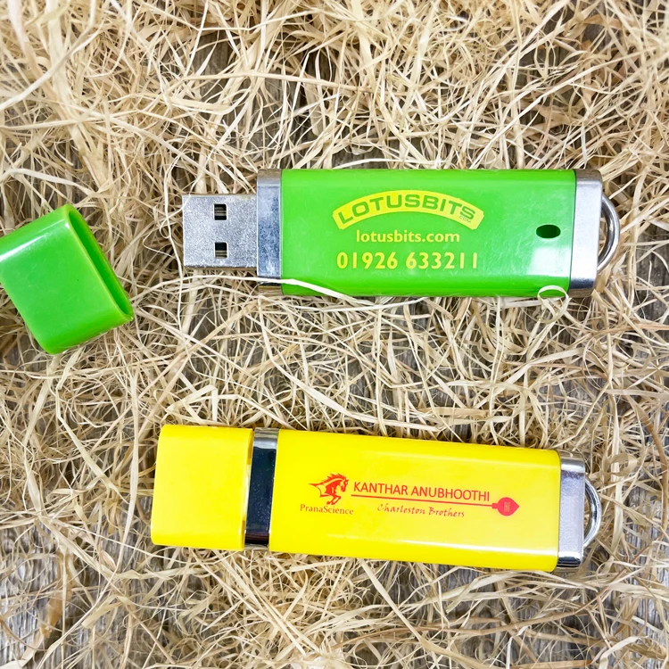 Bulk Cheap Business Gift Plastic USB Flash Drive 1GB 2GB 4GB 8GB 16GB 2.0 USB Stick Pen Drive with Custom Logo - ANKUX.COM