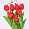 สีแดง