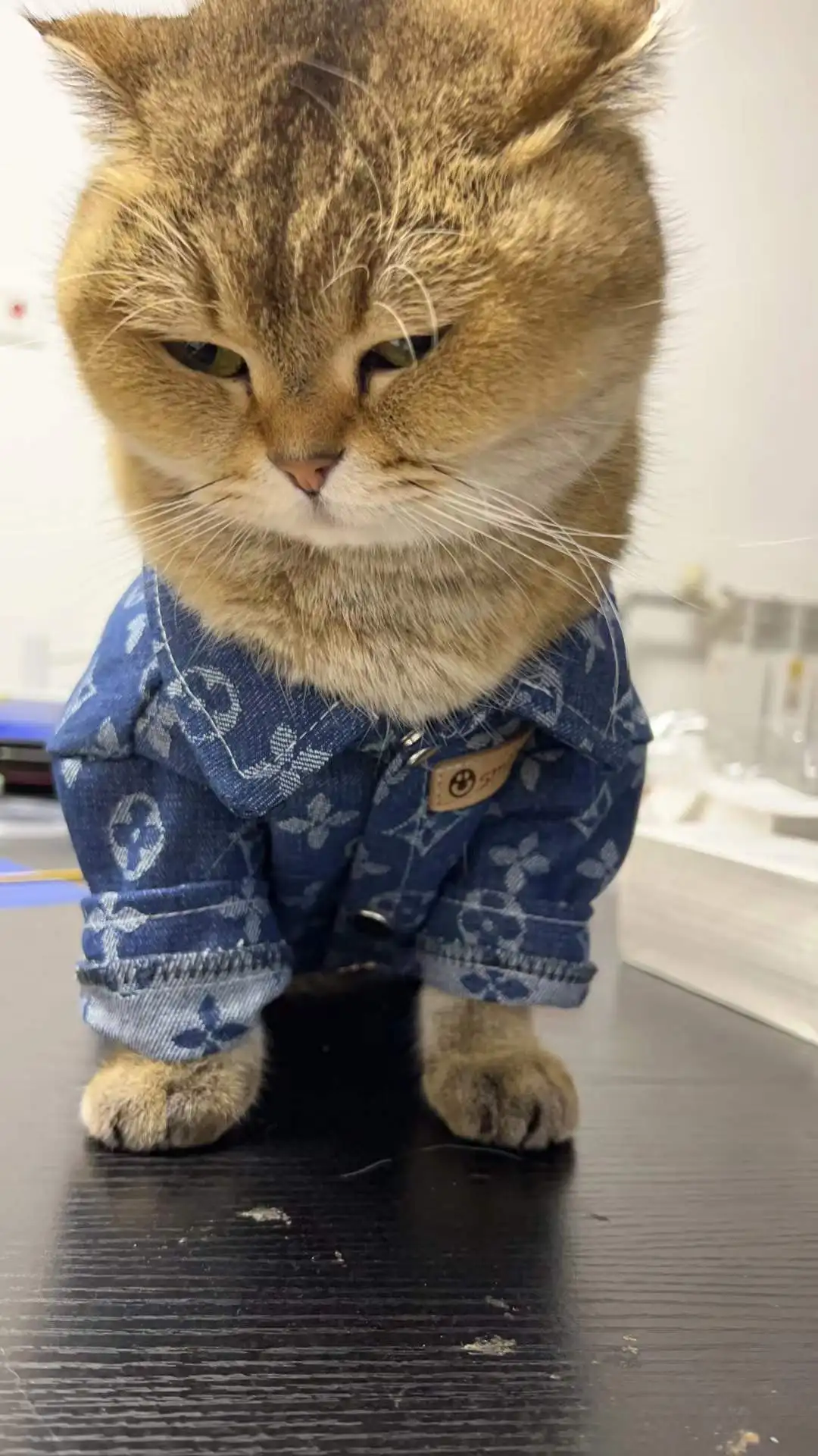 Fashion Brand Designer Autumn Winter Pet Clothes Pet Dog Denim Shirt