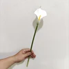 blanc YL80450-2