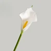 50cm White