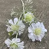86 head wheel peak chrysanthemum