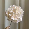 ไฮเดรนเยียดอกโบตั๋นก้านเดี่ยว