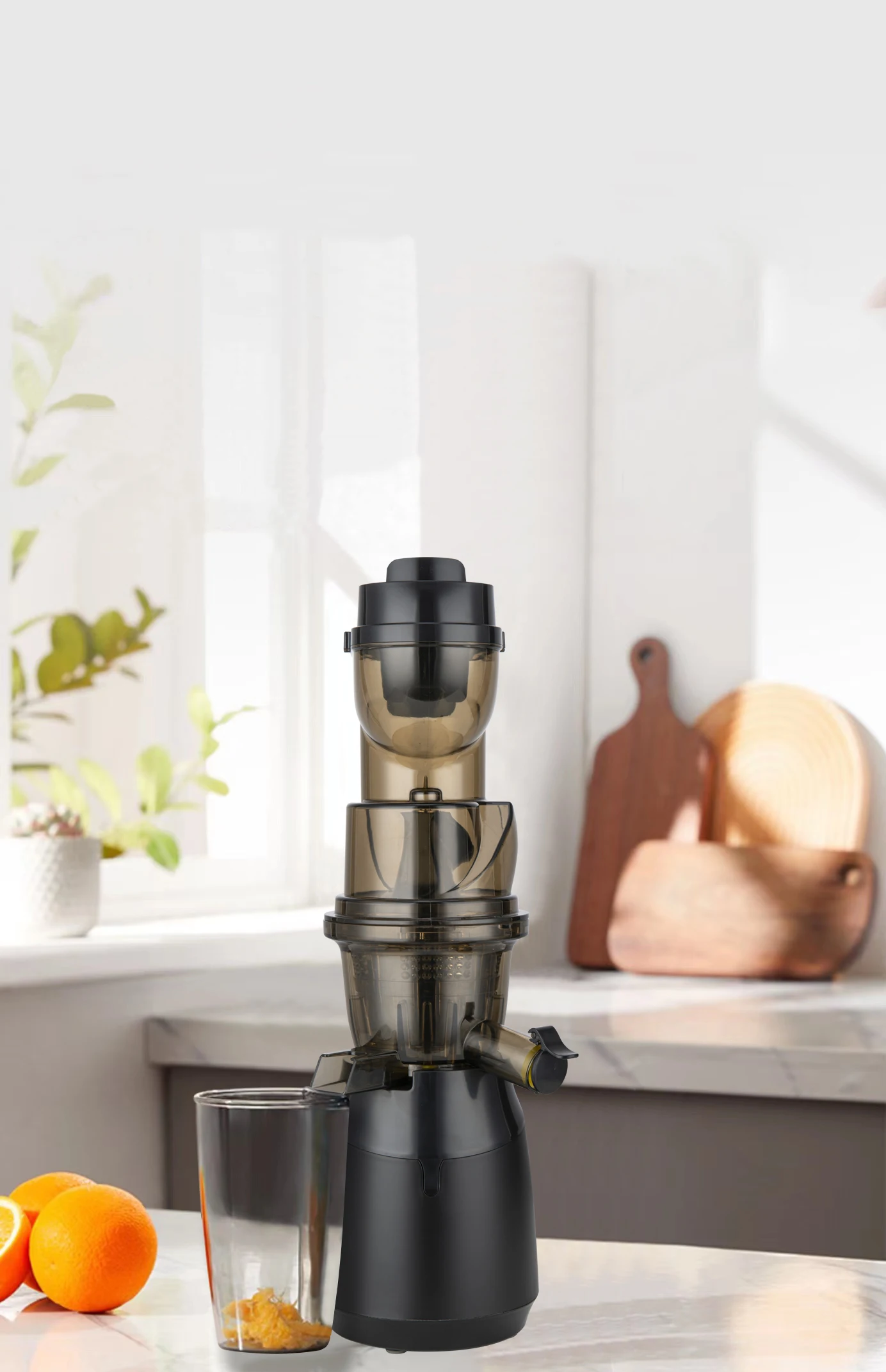 Whole Slow Juicer Higher Nutrients And Vitamins Cold Press Small Juice