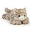 Smokie cat