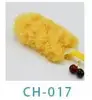 CH-017