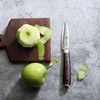 Paring Knife 3.5