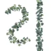 Vite con foglie di eucalipto