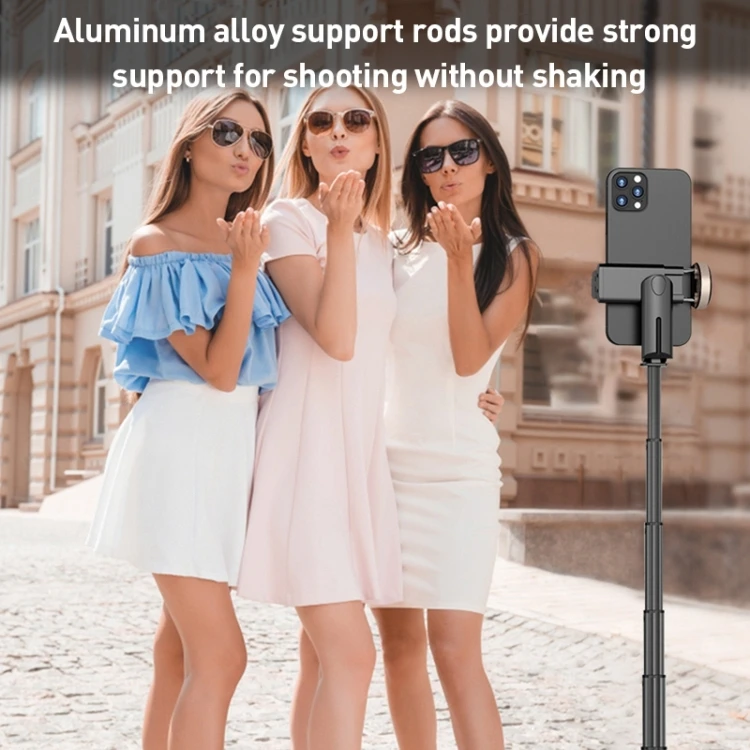Wholesale Top Click ZGA S02 Wireless Remote Control Hidden Tripod Selfie Stick