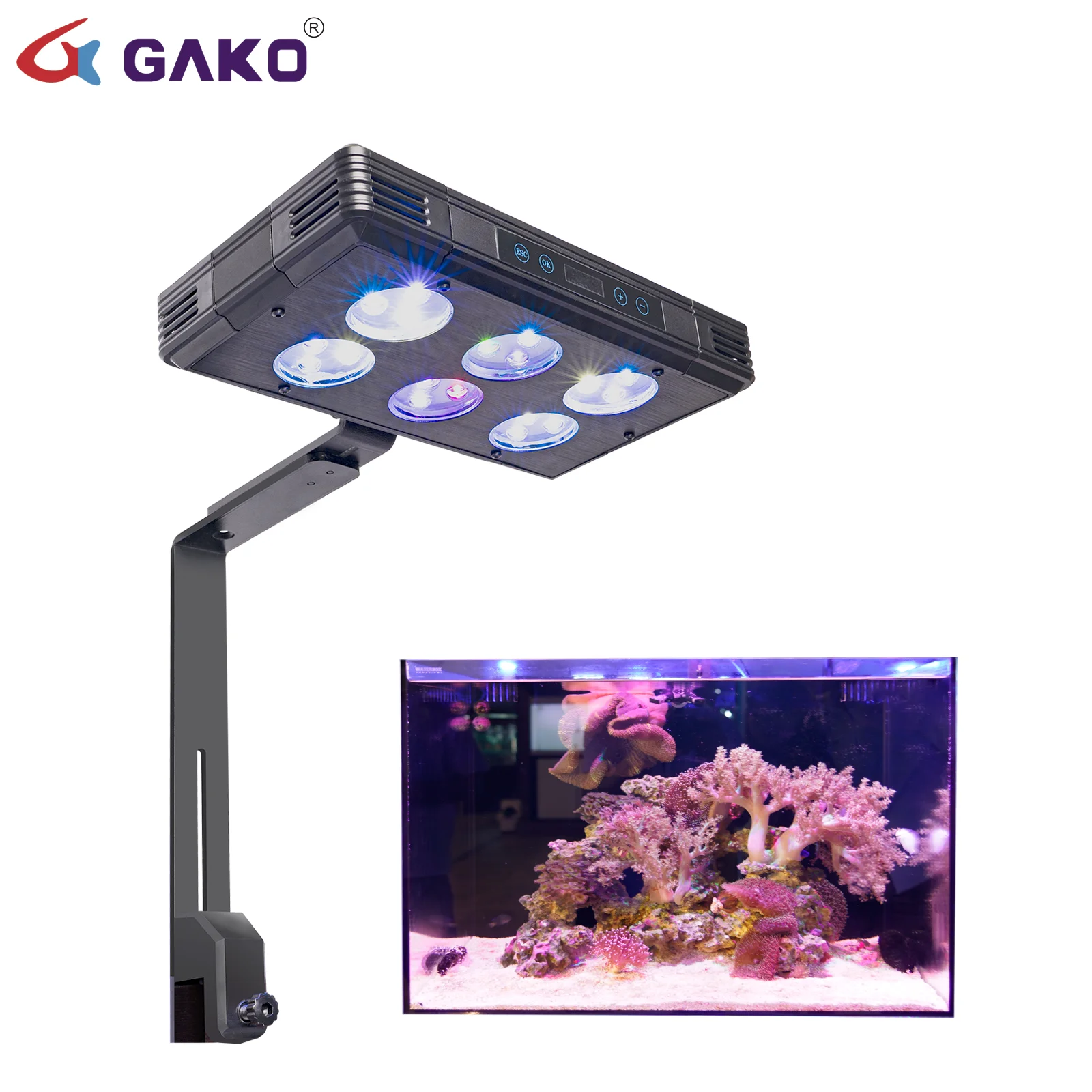 Gako A075 75w Led Light Aquarium Plant Aquatic Buy Led Light Aquarium Plant Aquatic Aquarium Lights For Fish Tank 55 Gallon With Timer Aquarium Light 48 Inch With Lightning Effect Product on