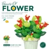 Graines de plantes de jade-163 pièces en boîte