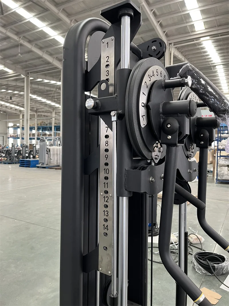 45枚セットAFBB Asian Body Building Fitness 45枚セットAFBB Asian Body Building Fitness