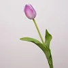 Lavanda