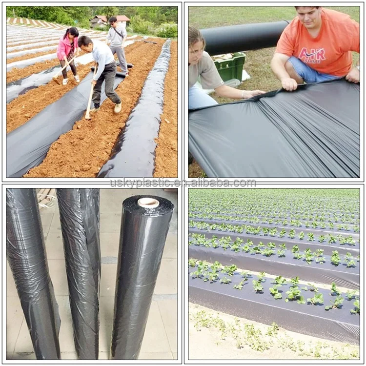 High Quality Biodegradable Agricultural Blacksilver Plastic Mulch Film