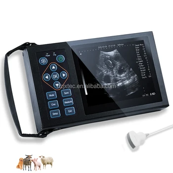 Full Digital 16-Color Handheld Veterinary Ultrasound Scanner Veterinary Portable For Animals